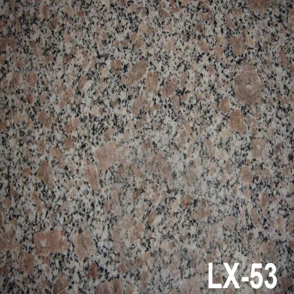 LX-53 珍珠花 G383